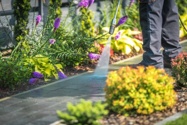 Professional Pressure Washing Services in Bonneau Beach, SC